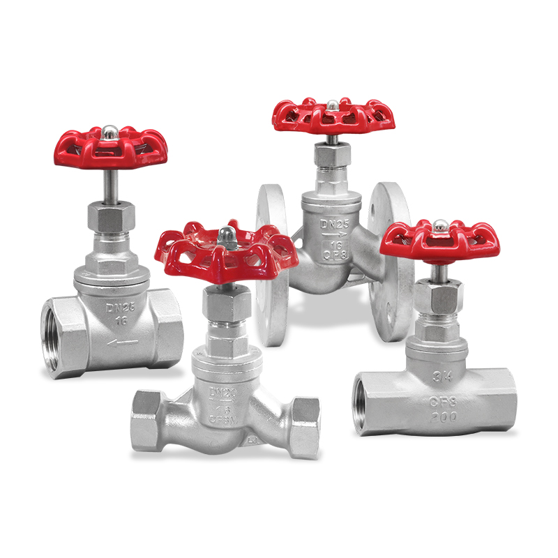 Globe Valve