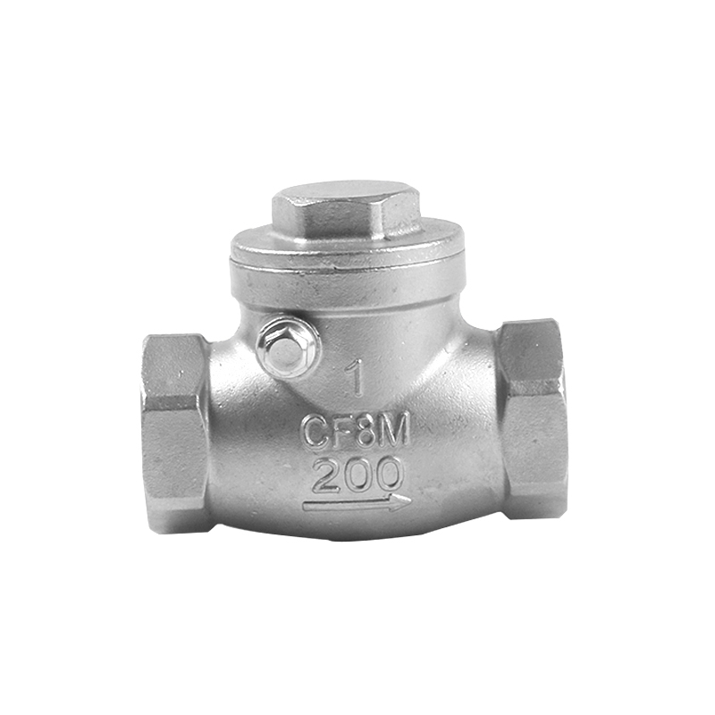 Ordinary check valve