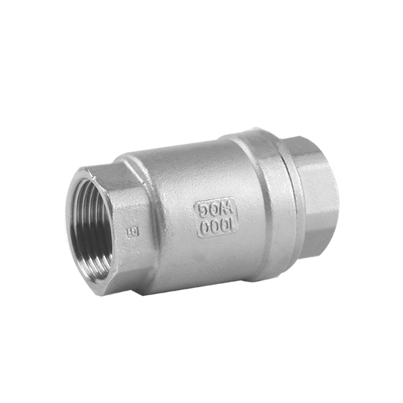 Vertical Check Valve